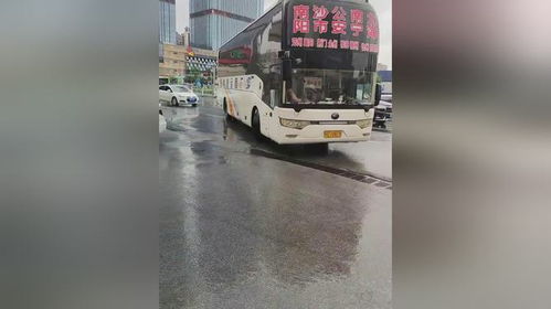 南阳有多少汽车站