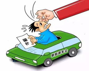 湘西汽车政府补贴多少