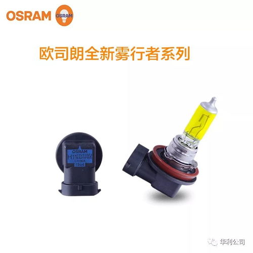 h7汽车大灯灯泡多少钱