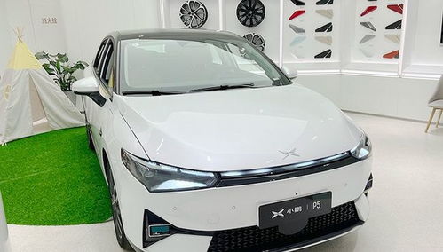 小鹏汽车涨价订车多少