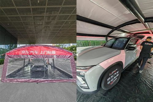京东有多少新能源汽车