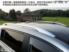汽车外观装饰贴纸多少钱