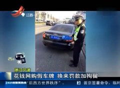 石家庄汽车换牌照多少钱