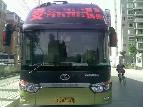 温州到深圳汽车多少钱