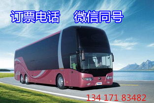登封到漯河汽车多少钱