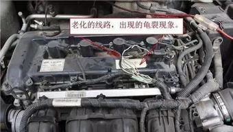 汽车内部有多少电
