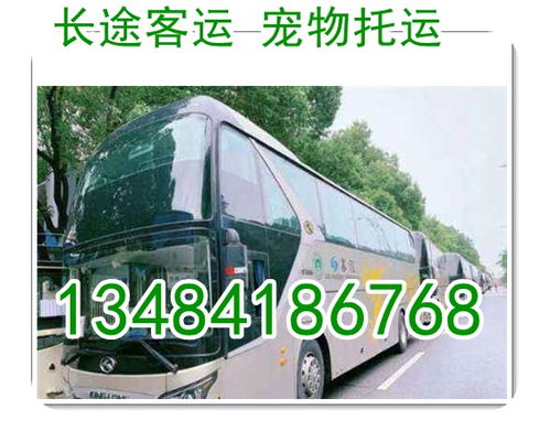 海宁到合肥汽车多少钱
