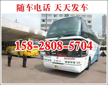 云南普洱汽车票价格多少