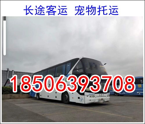 合肥到肥东汽车多少钱
