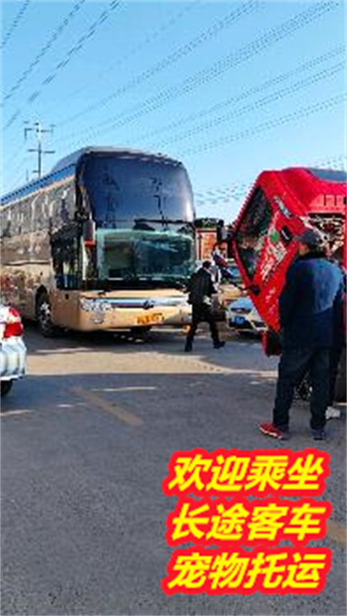江津到真武多少钱汽车