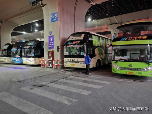 郑州有多少个汽车站