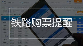 汽车驾照报考多少钱