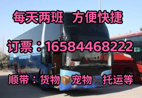 从江至福鼎汽车多少钱