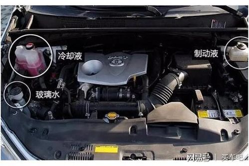 汽车换进水管多少钱
