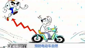 汽车自燃险多少钱一年