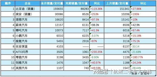 领跑汽车1月份销量多少