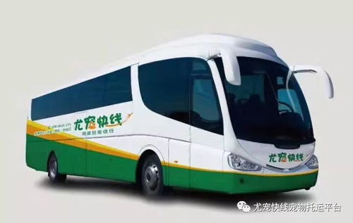 机场托运汽车行李多少钱