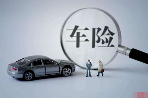 买个汽车保险多少钱啊