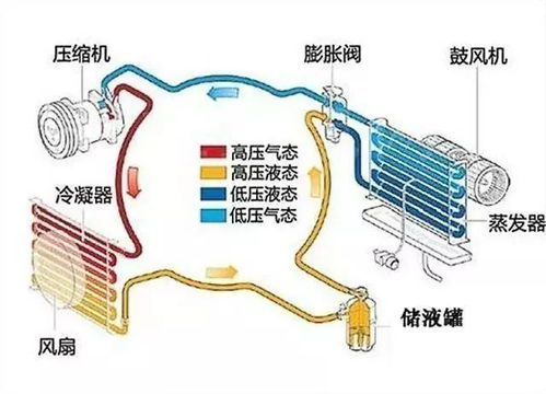 汽车空调泵加多少氨