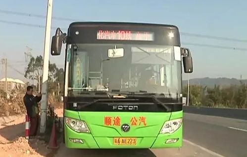 多少路公交到平湖汽车站