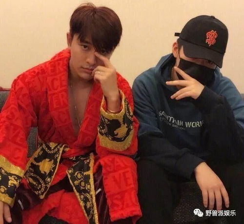 贾乃亮乔欣时隔3年再合体(贾乃亮与乔欣时隔三年的重逢，再度合体的魅力与期待)