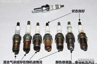 爱丽舍汽车高压包多少钱