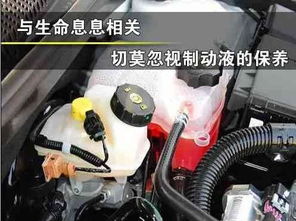 汽车制动液多少升合适啊