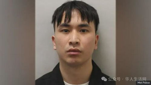 中国留英博士下药强奸多人被判无期(中国留英博士因下药强奸多人被判无期，反思与启示)