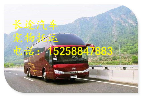 镇沅到宁县汽车票价多少