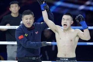 武林风城市对抗赛上演高手对决(武林风城市对抗赛，高手对决的舞台)