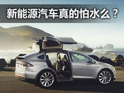 平安新能源汽车多少钱 平安新能源汽车多少钱