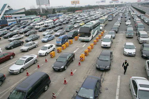 今天山东省汽车油价多少