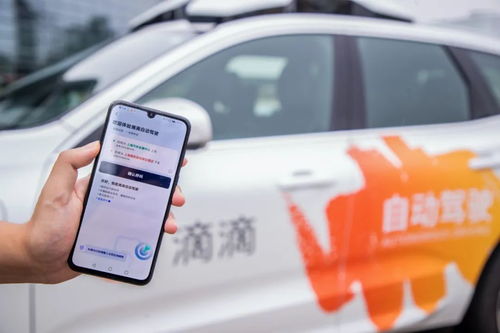 全红婵被网约车司机称为国宝(全红婵，国宝级人才的闪耀与责任)