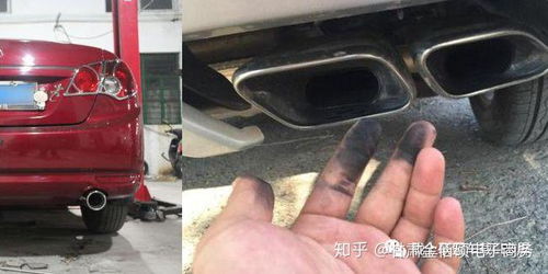 汽车排气多少钱一下