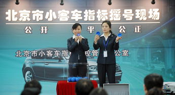 北京市小客车指标摇号查询,北京市小客车指标摇号查询结果